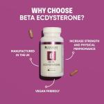 High Potency Ecdysterone Supplement for Muscle Growth