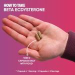 High Potency Ecdysterone Supplement for Muscle Growth