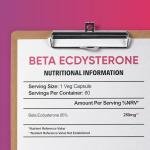 High Potency Ecdysterone Supplement for Muscle Growth