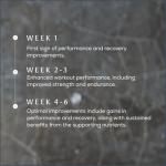 True Creatine+ Powder for Women - 180g