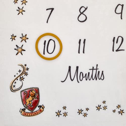 Harry Potter Magical Moments Milestone Baby Blanket