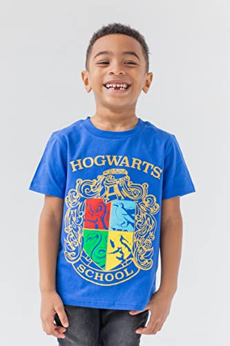 Harry Potter Boys 3-Pack T-Shirts Blue/Grey/Red 18-20