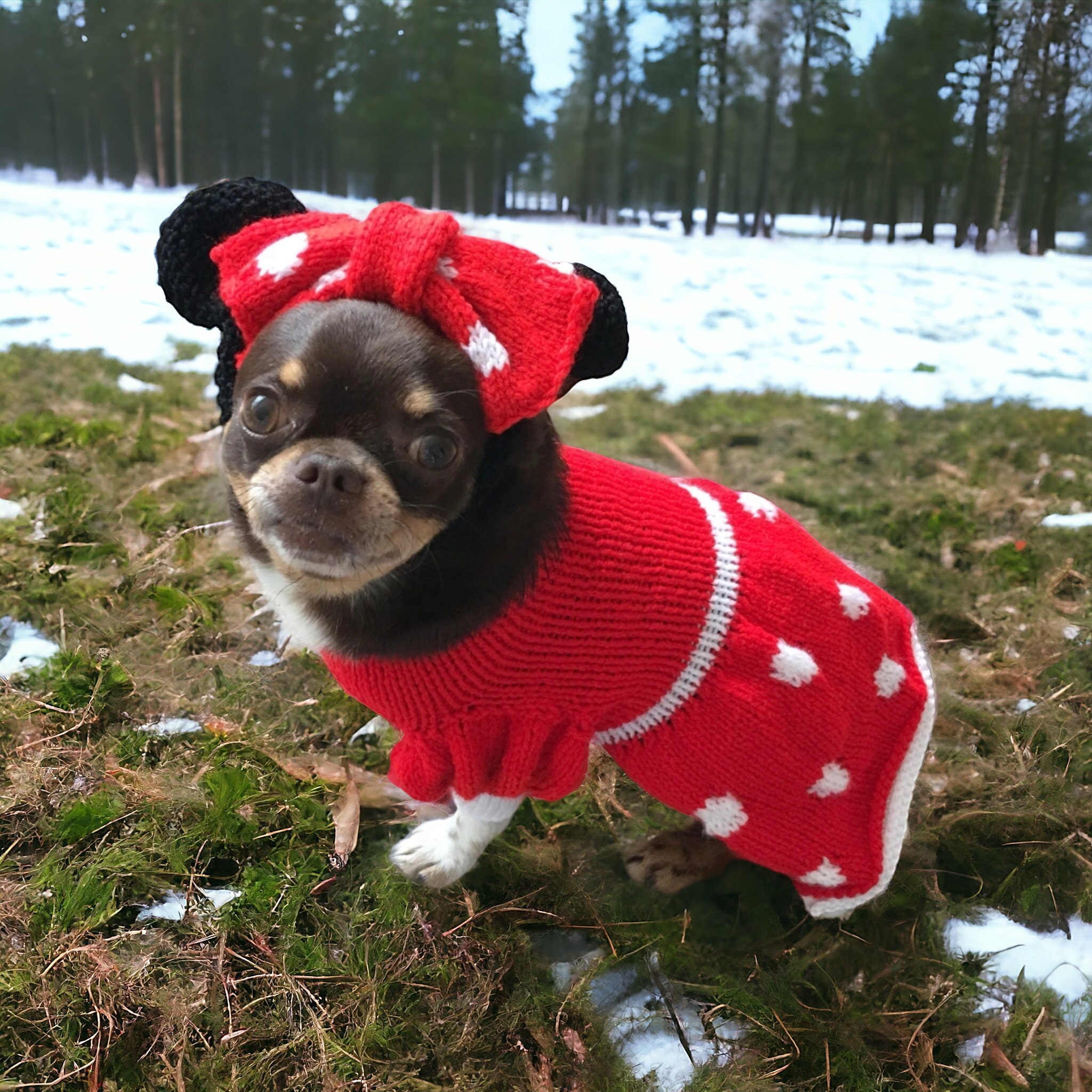 Minnie Mouse dog dress with matching ears