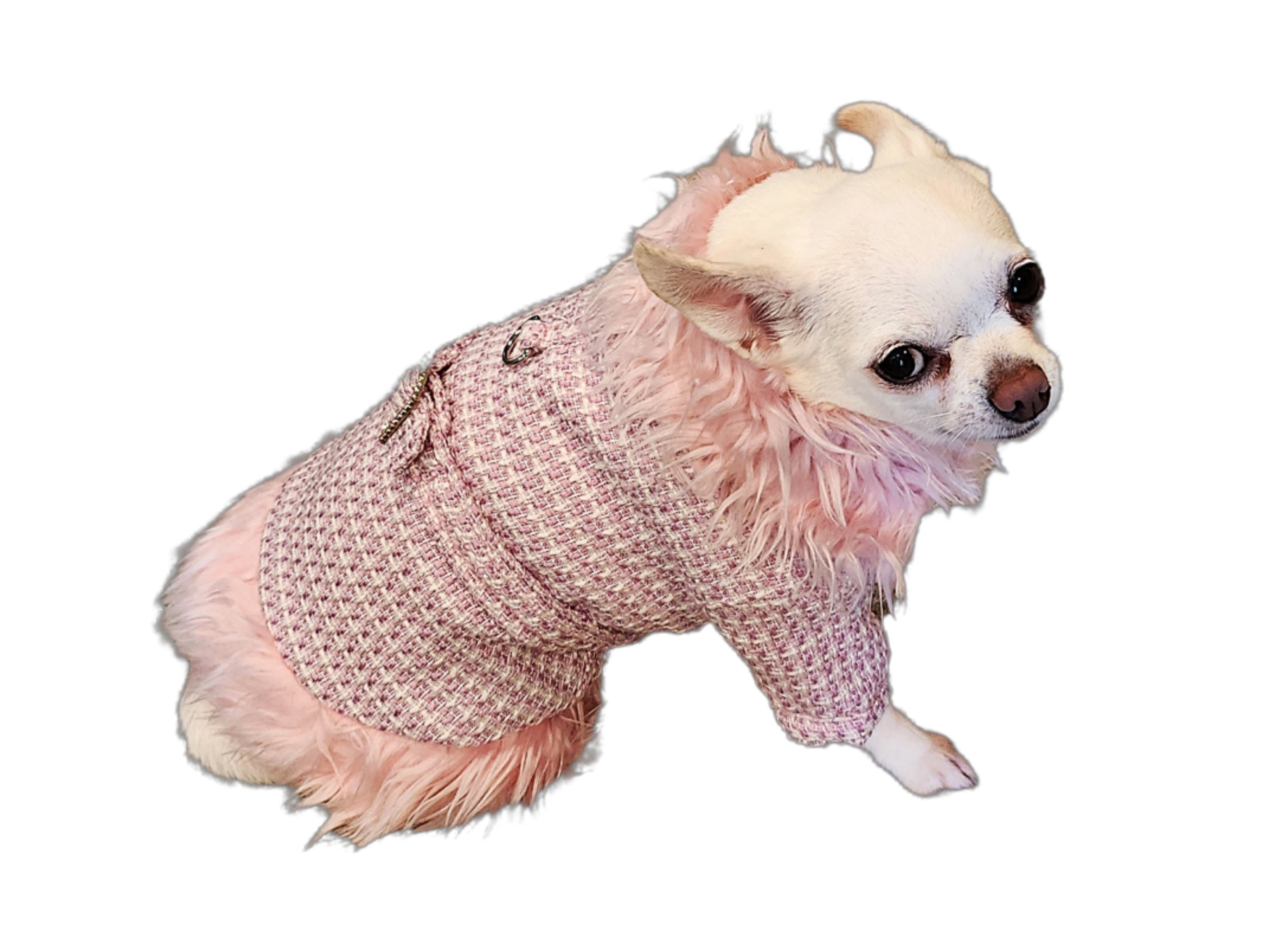 Stylish Tweed Dog Coat for Fashionable Pups