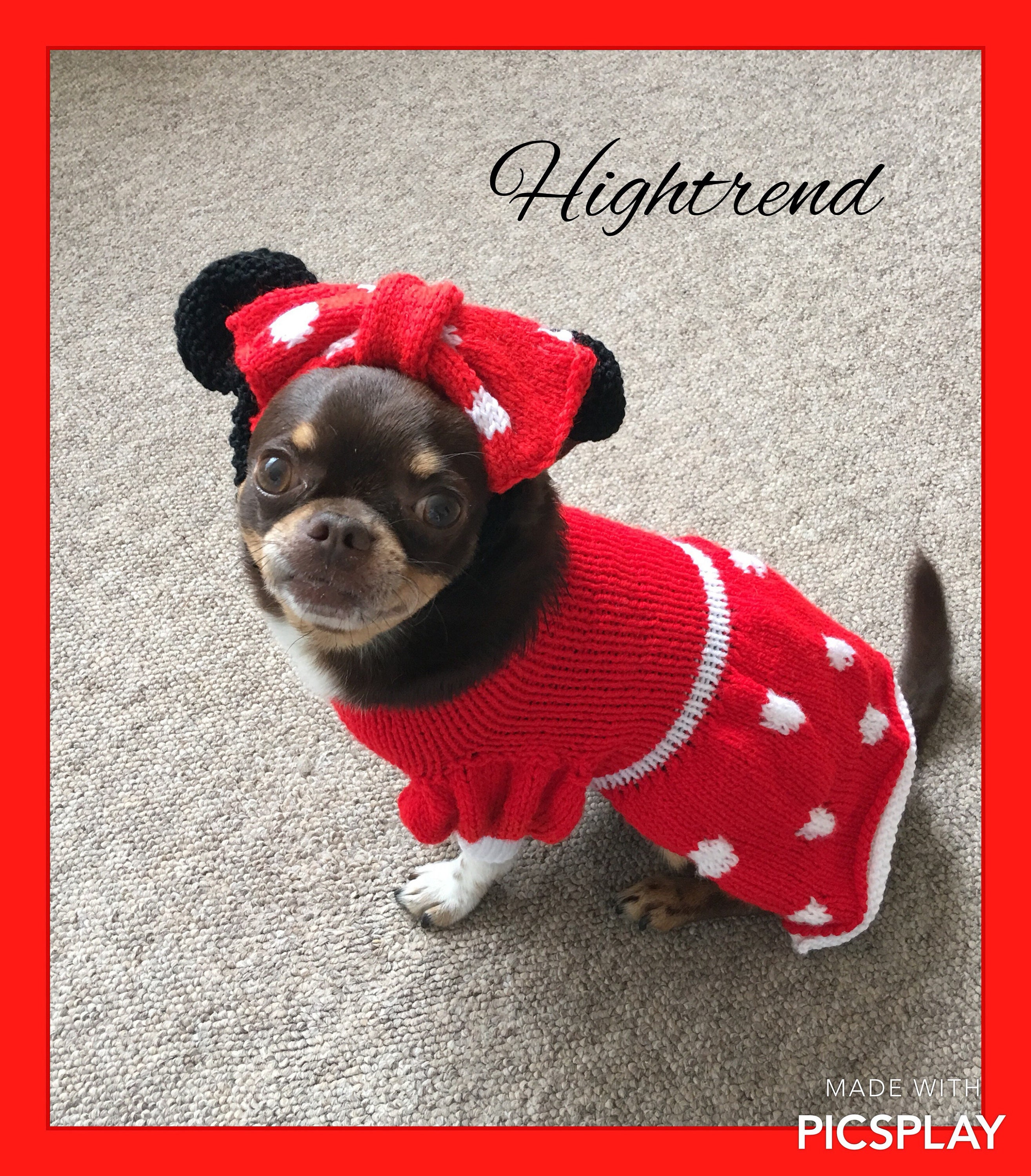 Minnie Mouse dog dress with matching ears