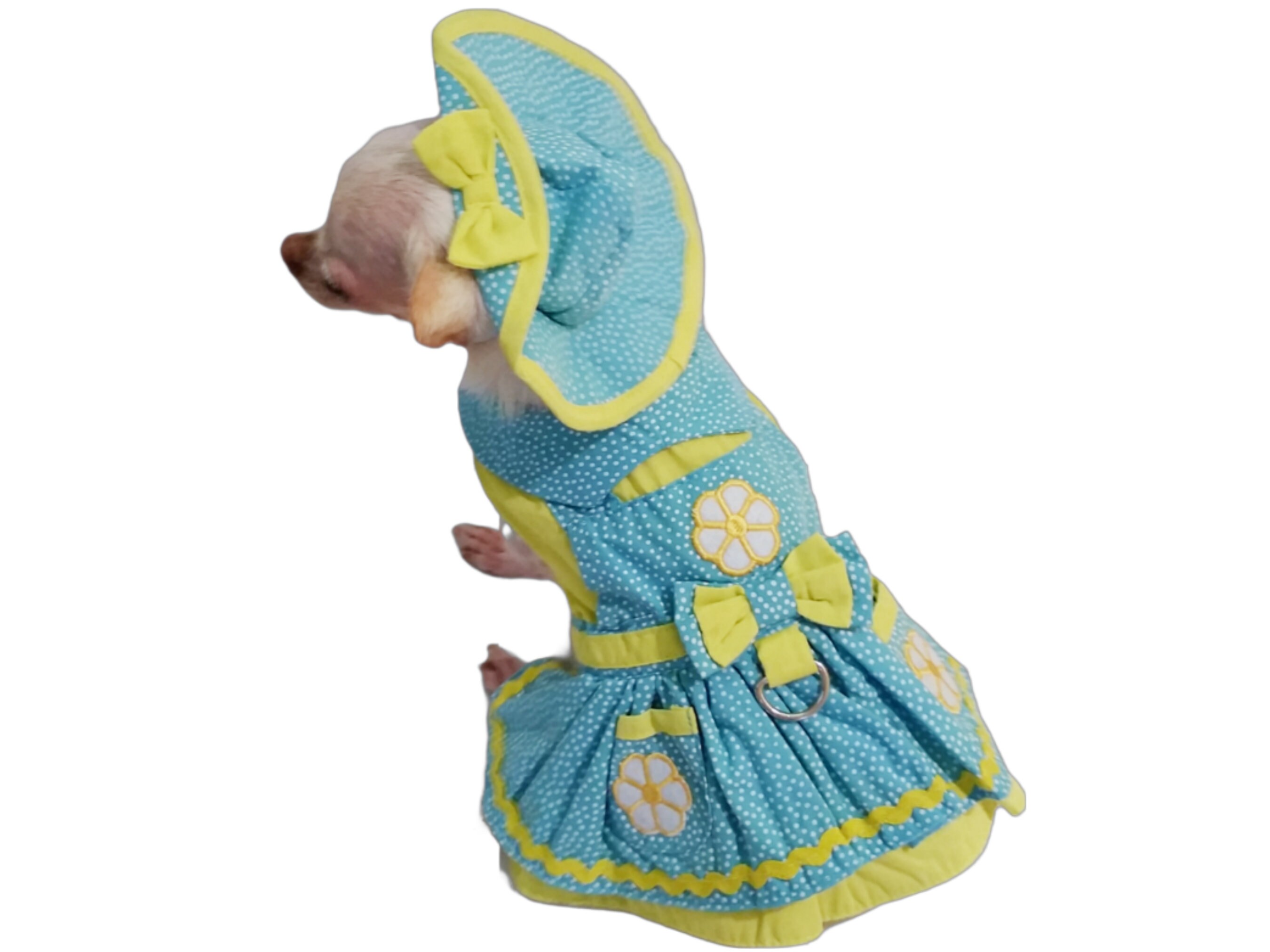 Colorful Daisy Dog Dress Set with Leash and Hat