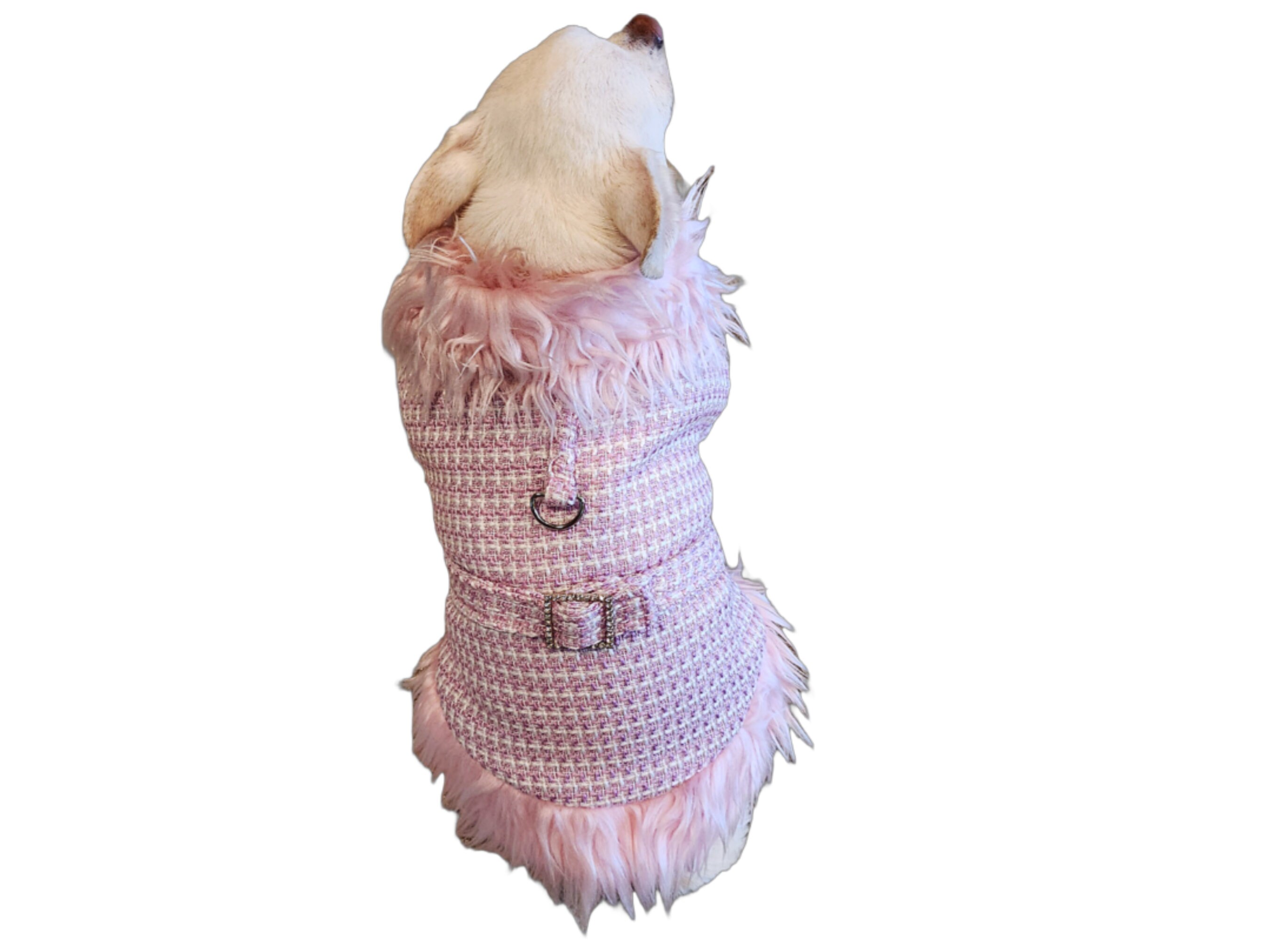Stylish Tweed Dog Coat for Fashionable Pups