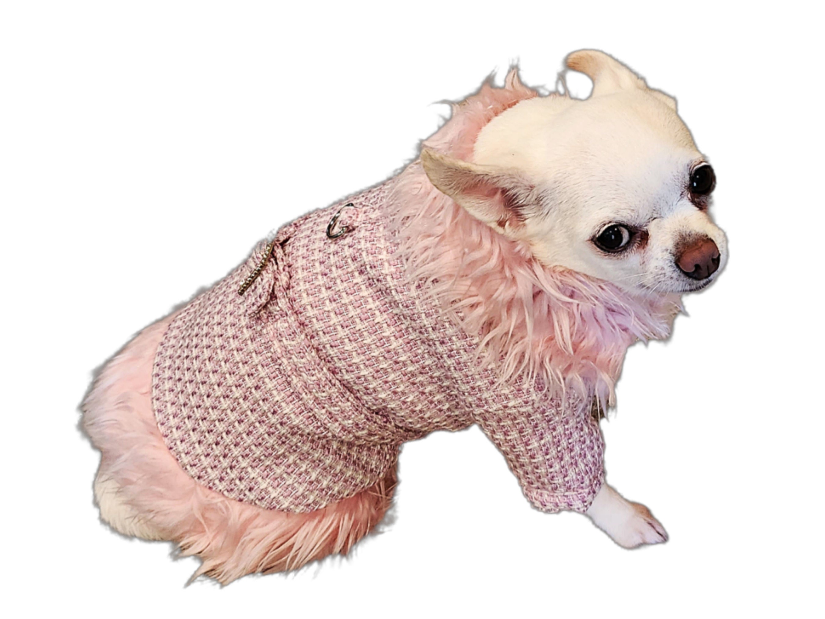 Stylish Tweed Dog Coat for Fashionable Pups