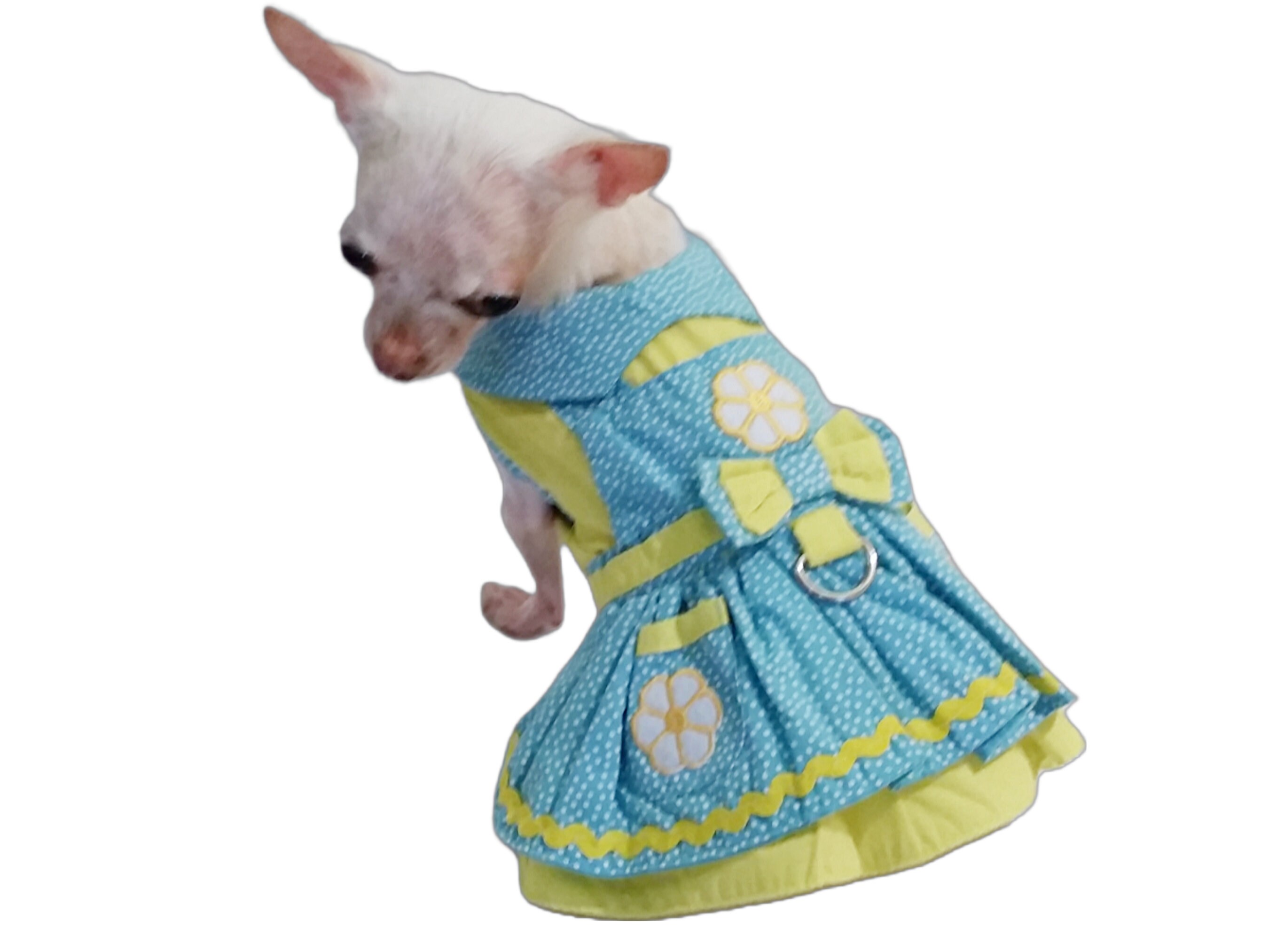 Colorful Daisy Dog Dress Set with Leash and Hat