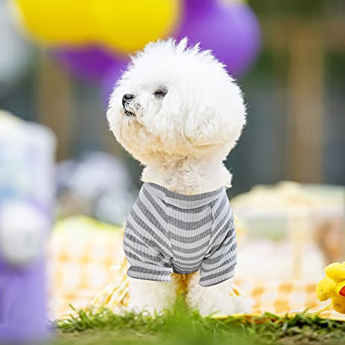 Small Dog Girl Pajamas: Warm, Sleek & Cute