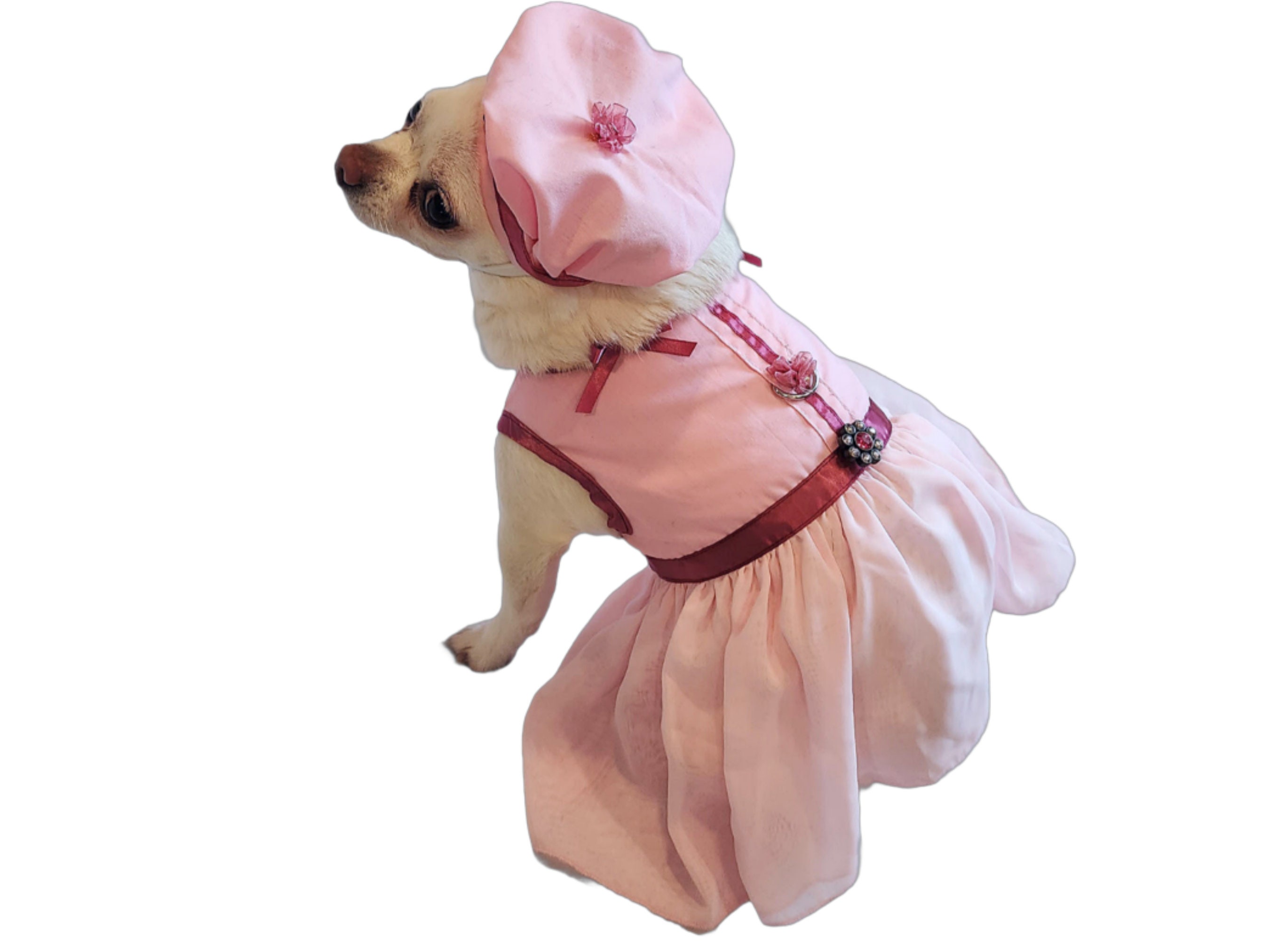 Pink Flirt Dog Dress Set with Leash and Hat