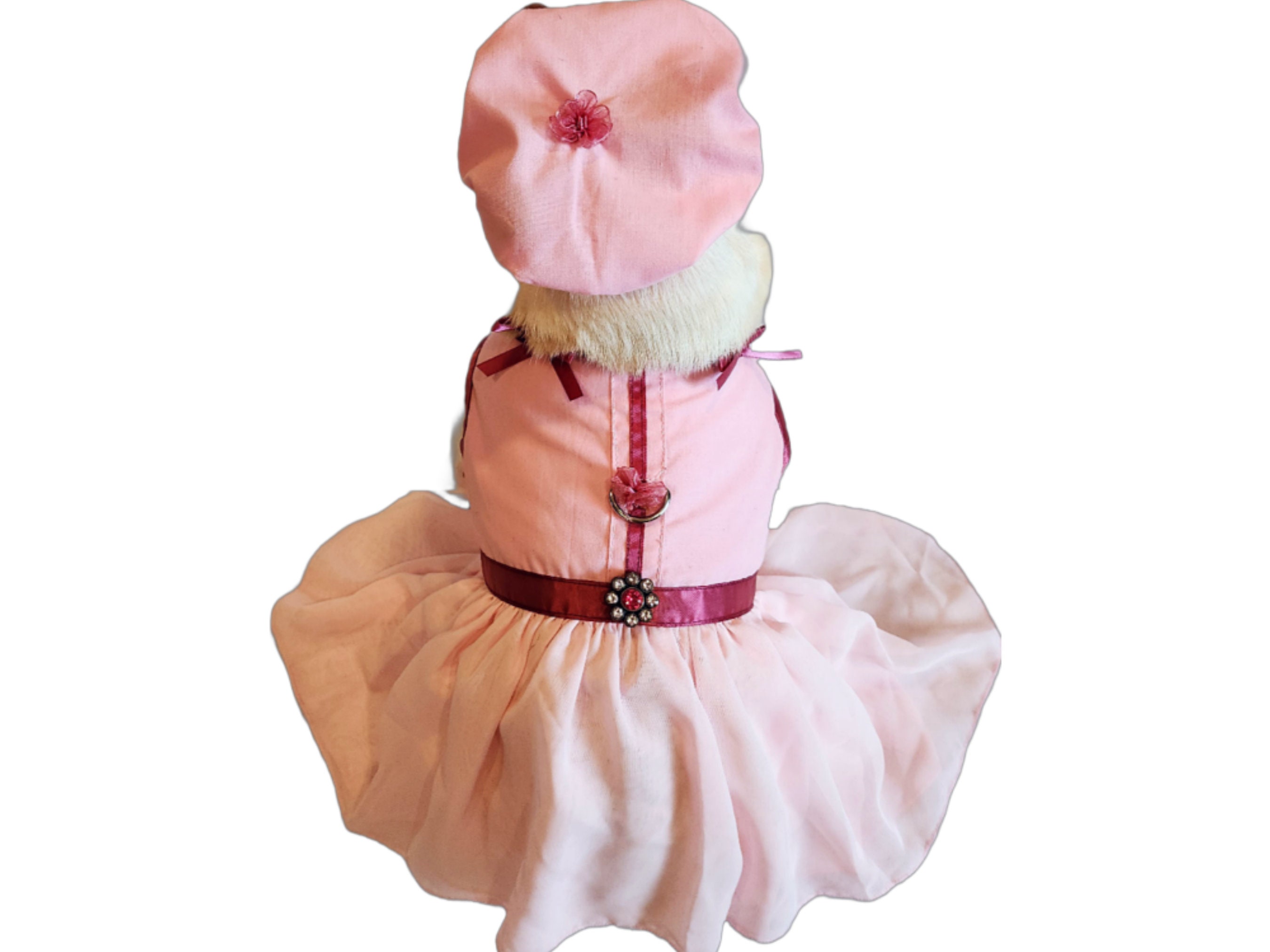 Pink Flirt Dog Dress Set with Leash and Hat