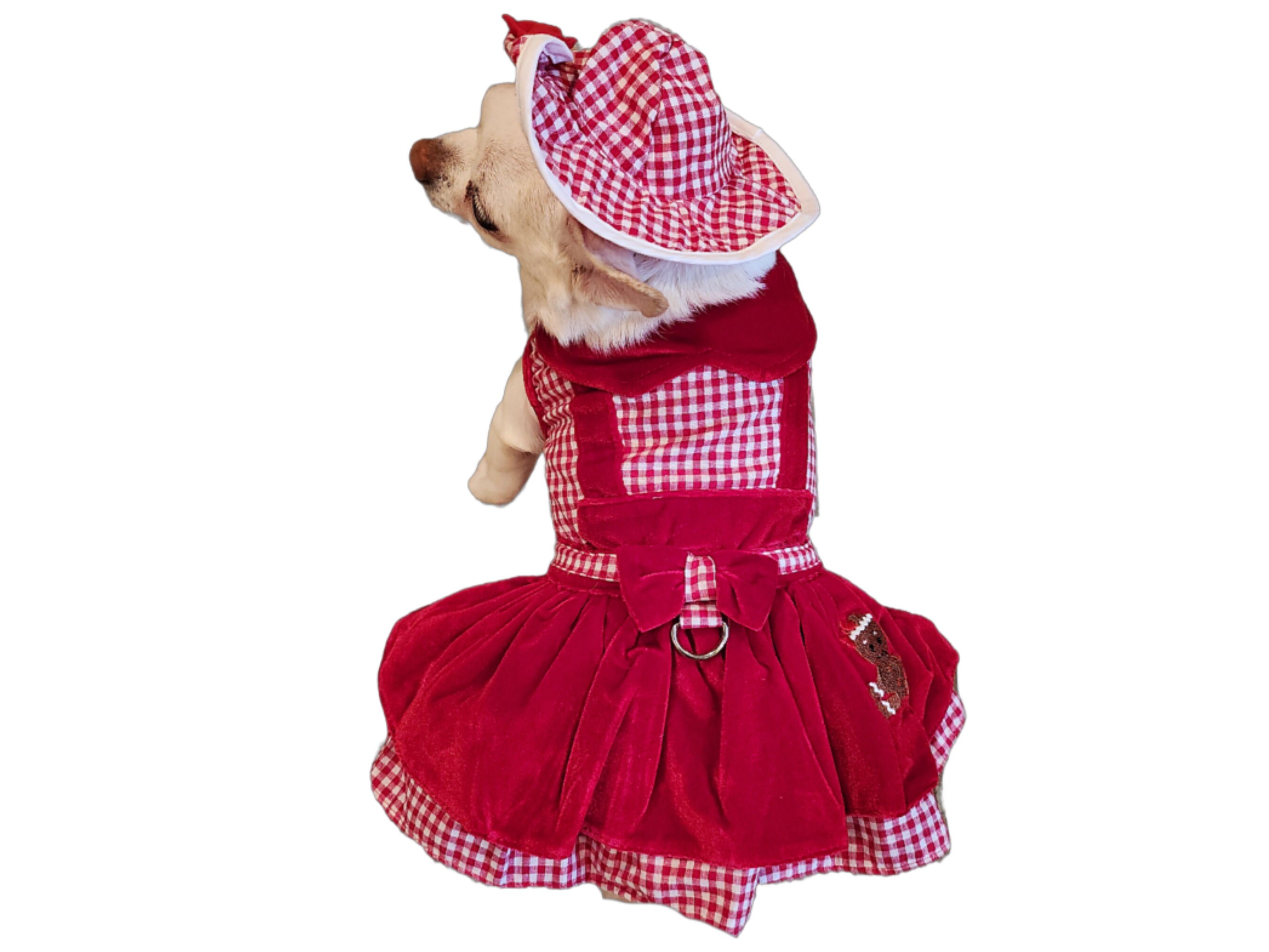 Gingerbread Girl Dog Dress Set in Multiple Sizes