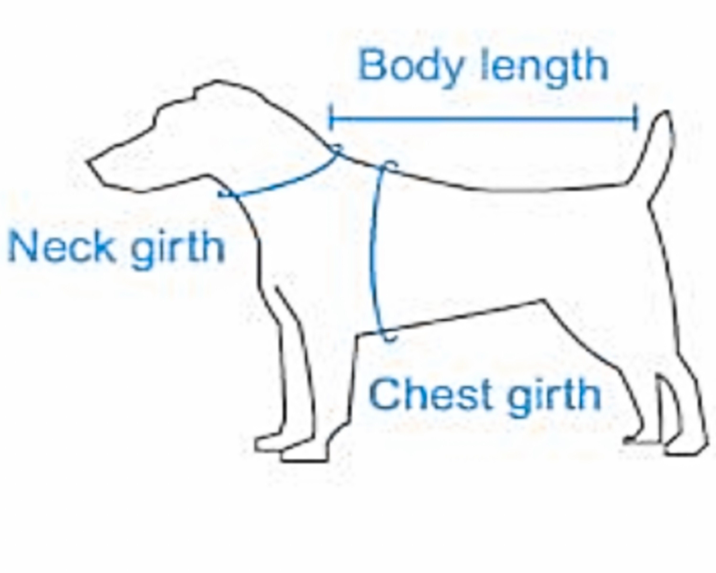 Pink Flirt Dog Dress Set with Leash and Hat