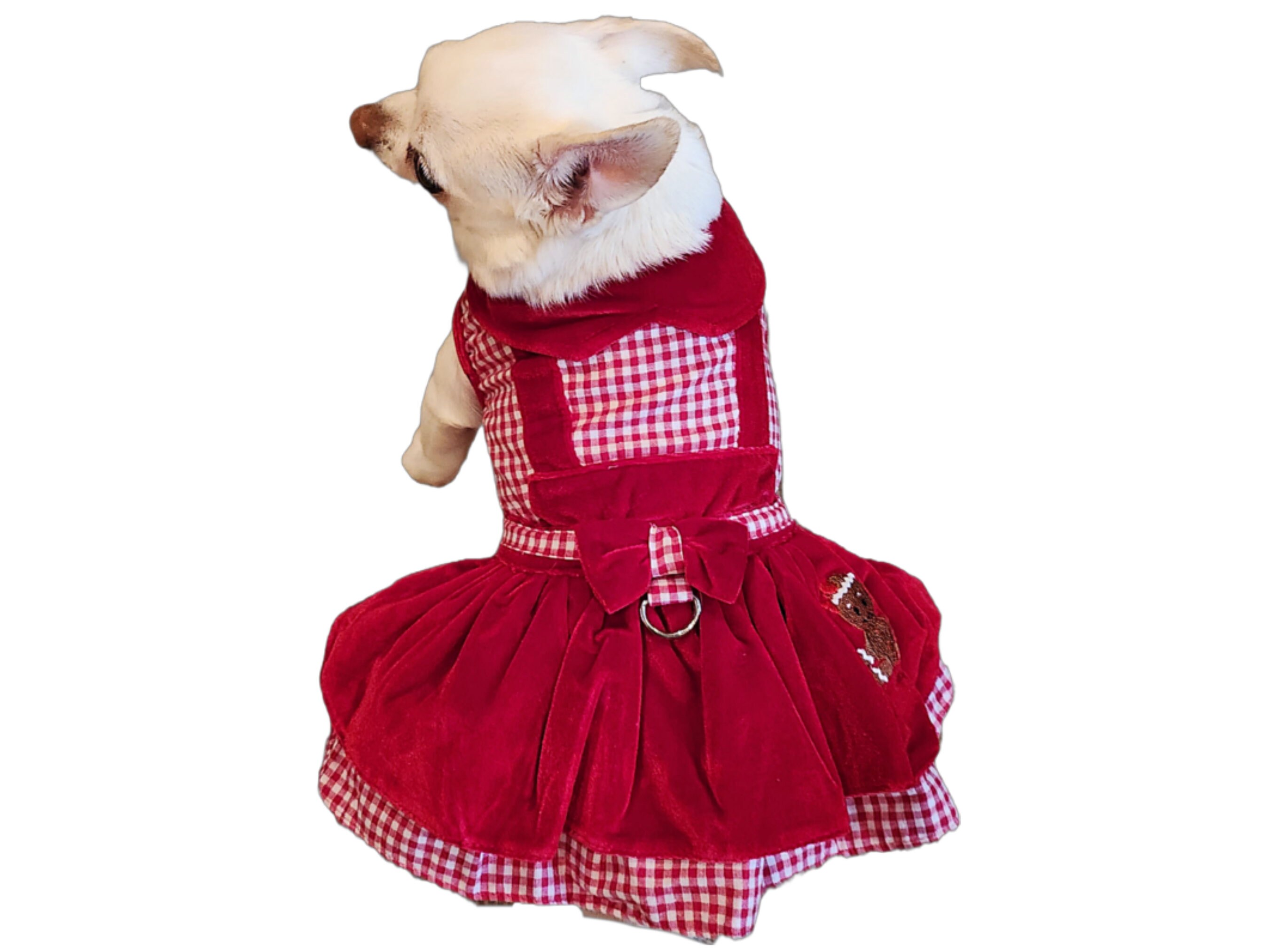 Gingerbread Girl Dog Dress Set in Multiple Sizes