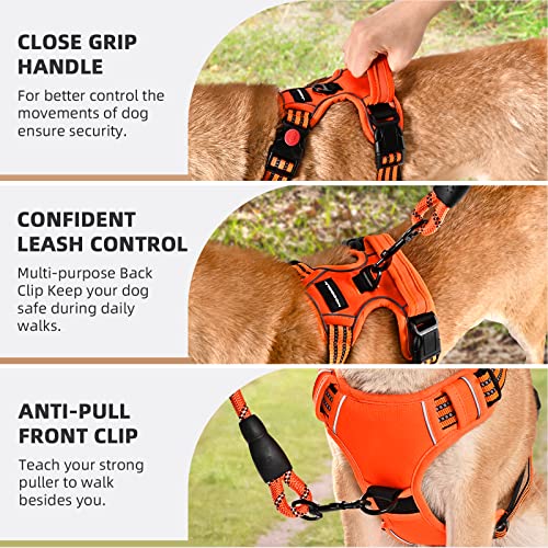 Juqiboom Reflective No-Pull Dog Harness and Leash Set