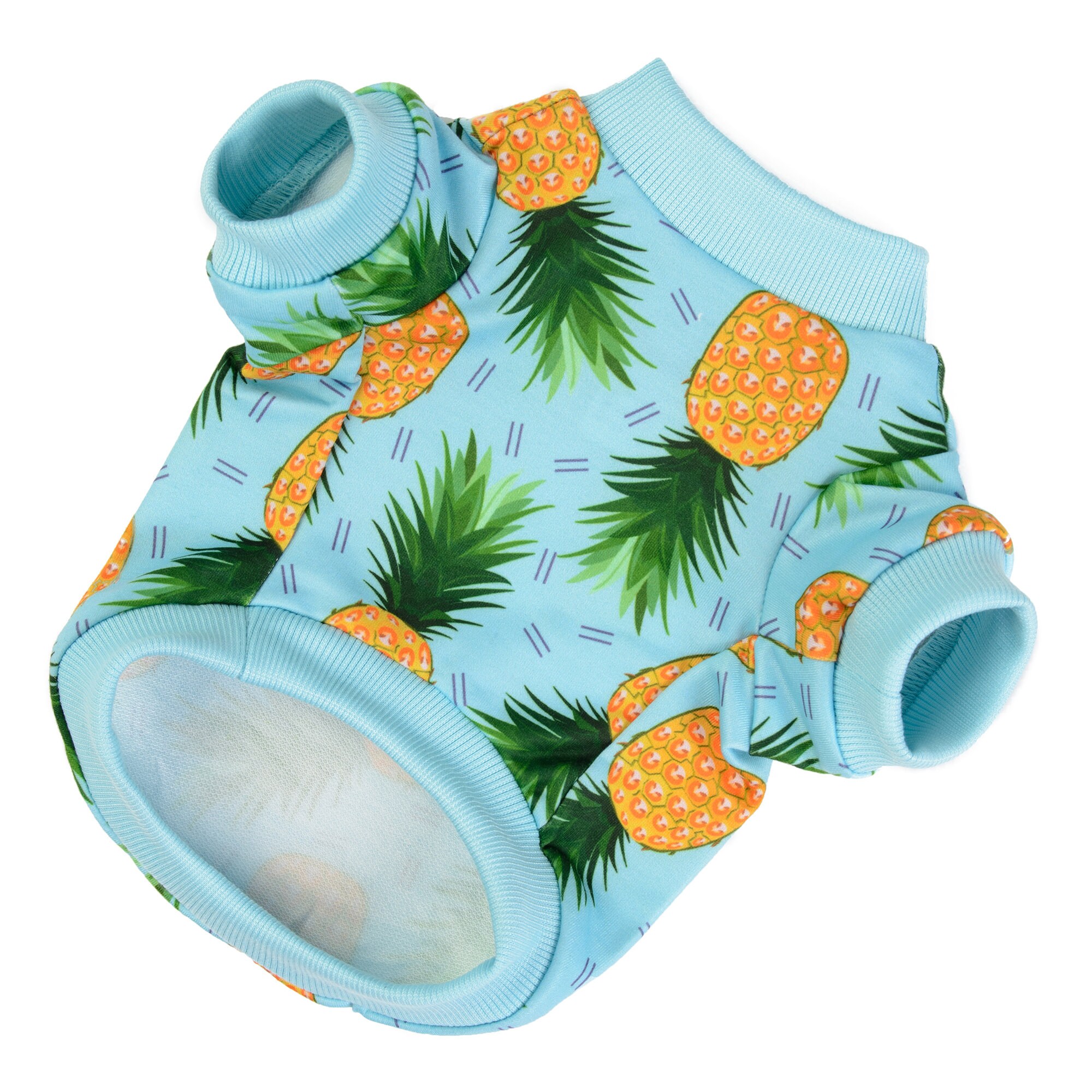Pine-Appaw-Licious Dog Sweater: Pineapple Pattern Blue Jumper