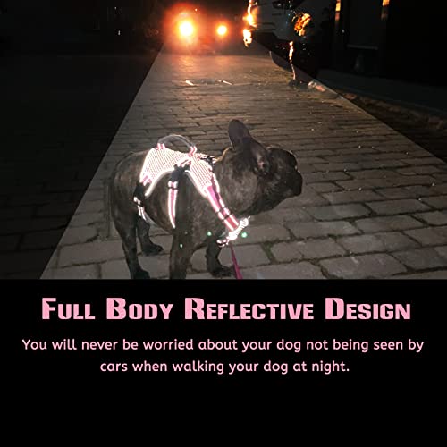 Paworld No Escape Reflective Harness for Medium Dogs