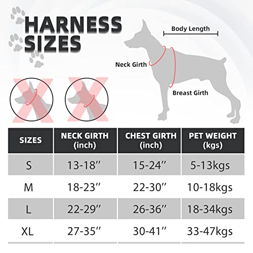 Juqiboom Reflective No-Pull Dog Harness and Leash Set