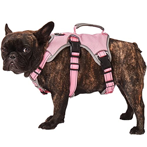 Paworld No Escape Reflective Harness for Medium Dogs