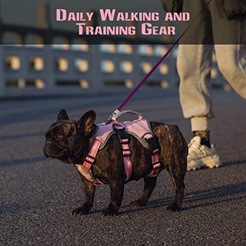Paworld No Escape Reflective Harness for Medium Dogs
