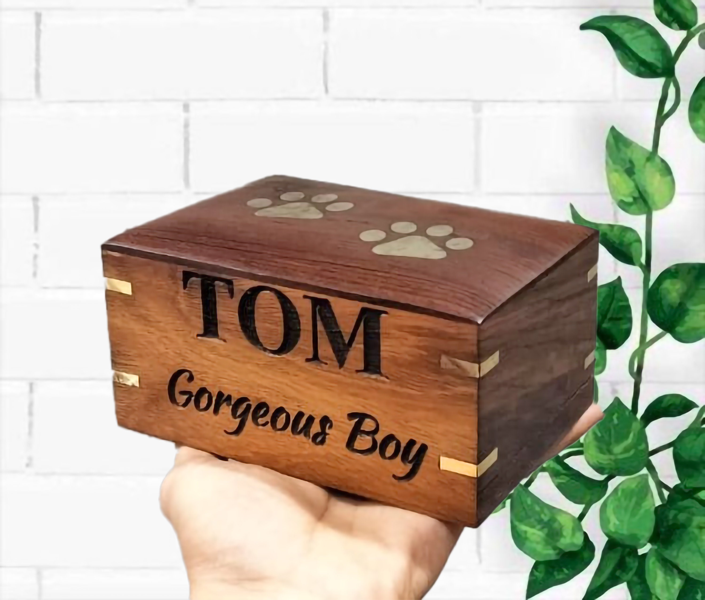 Customizable Pet Urn Box: Brass Paws, Rosewood Finish