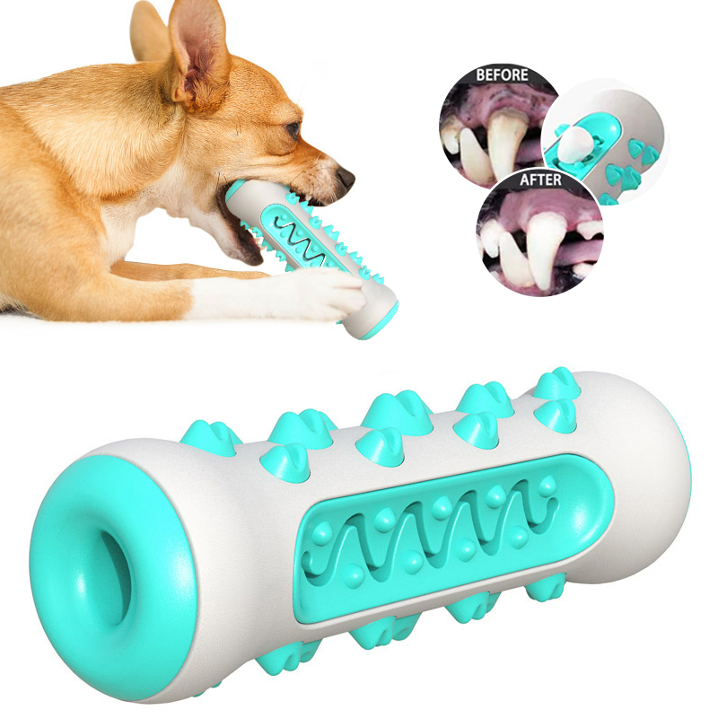 Safe Dog Molar Chew Toy for Dental Care