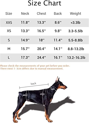 Small Puppy Dog Hoodie Outfit