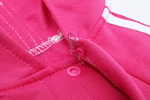 Small Puppy Dog Hoodie Outfit