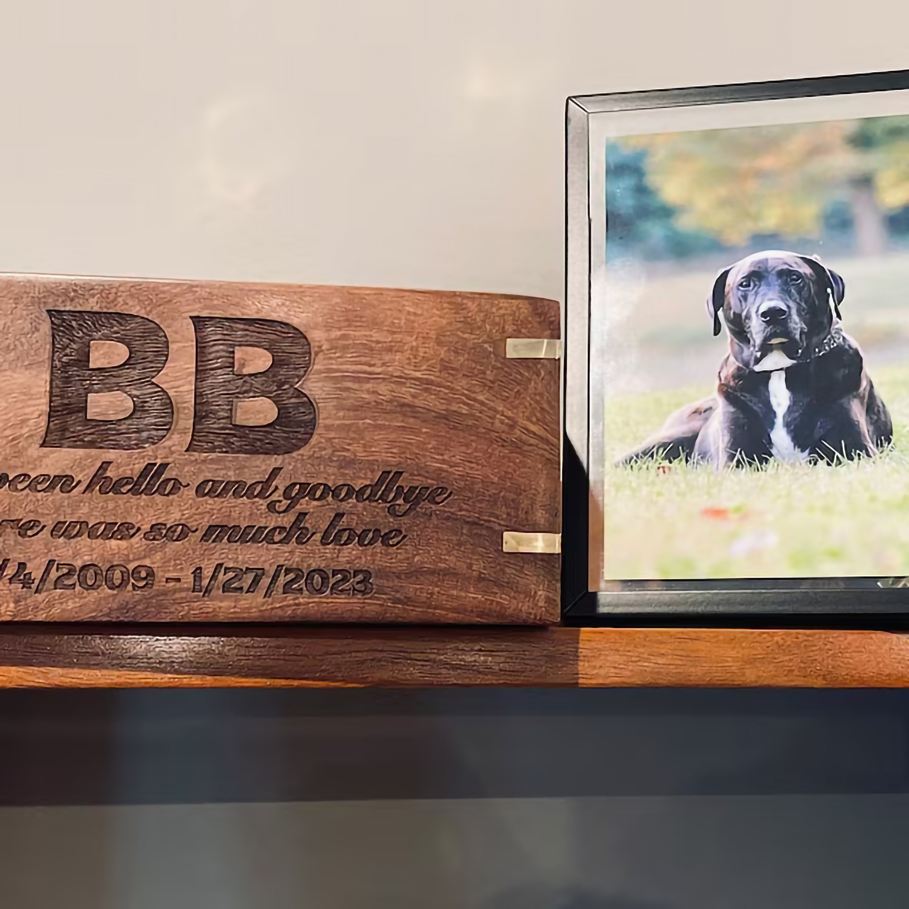 Customizable Pet Urn Box: Brass Paws, Rosewood Finish