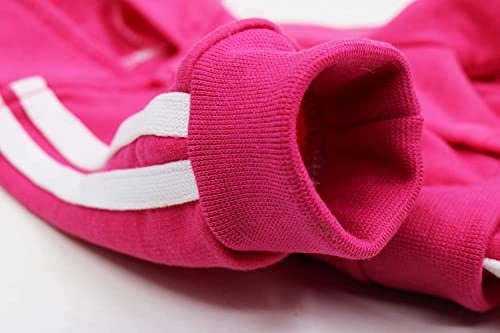 Small Puppy Dog Hoodie Outfit