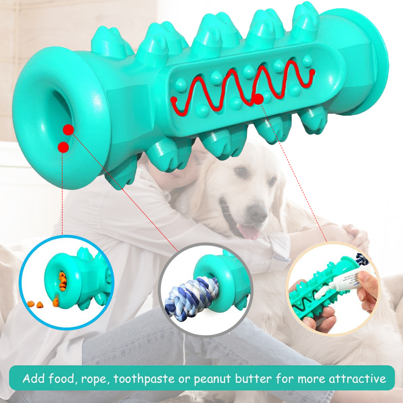 Safe Dog Molar Chew Toy for Dental Care