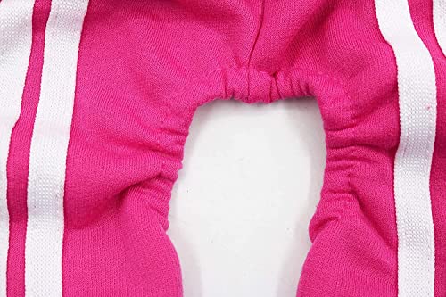 Small Puppy Dog Hoodie Outfit