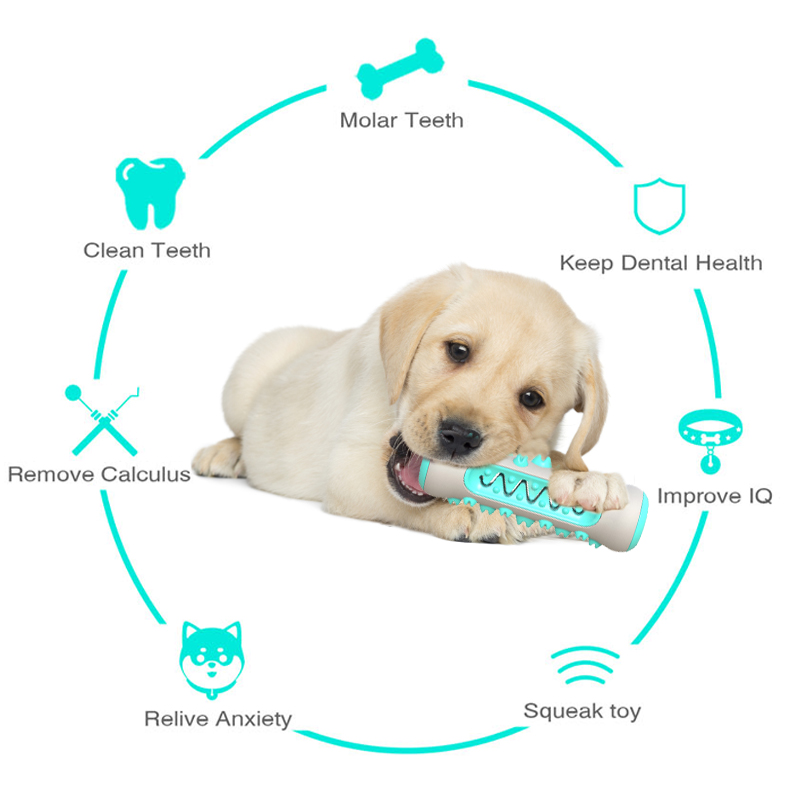 Safe Dog Molar Chew Toy for Dental Care