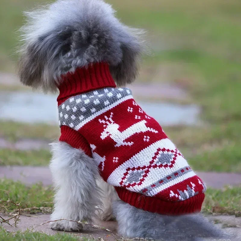Cozy Cartoon Dog Sweater for Small Breeds in Winter