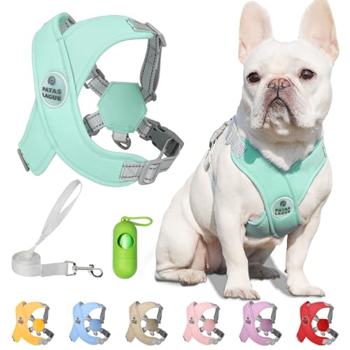 Patas Lague Reflective Dog Harness with Leash, Green