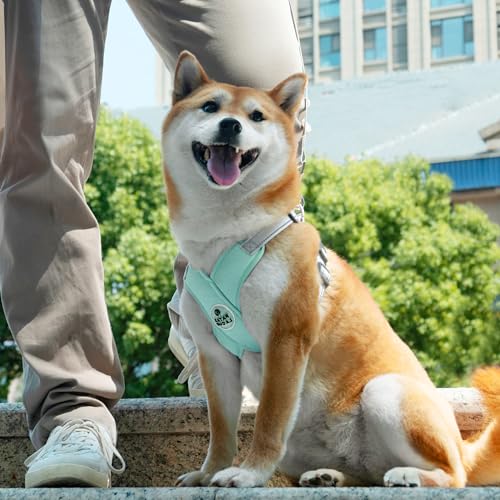 Patas Lague Reflective Dog Harness with Leash, Green