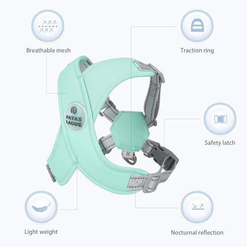 Patas Lague Reflective Dog Harness with Leash, Green