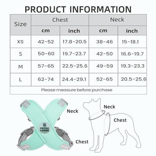 Patas Lague Reflective Dog Harness with Leash, Green