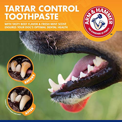 Arm & Hammer Dogs Tartar Control Kit, 3-Piece