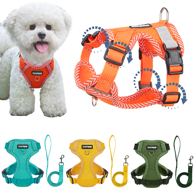 Adjustable Reflective Mesh Dog Harness and Leash Set