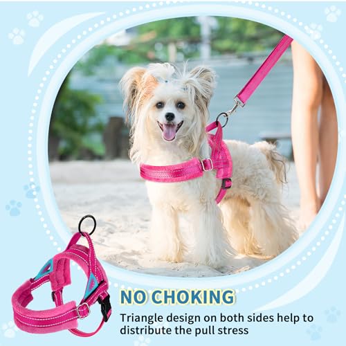 Reflective Small Dog Harness & Leash Set, Adjustable