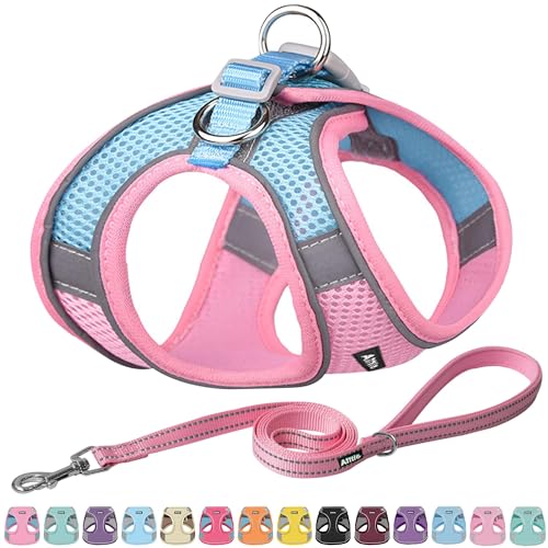 AIITLE Adjustable No Pull Dog Harness & Leash