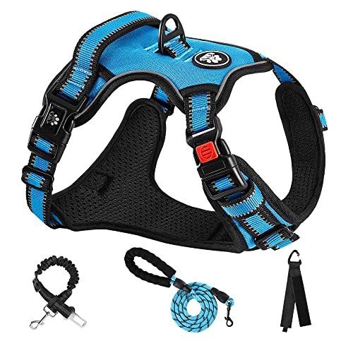 Adjustable Oxford Dog Harness with Reflective Leash - Blue