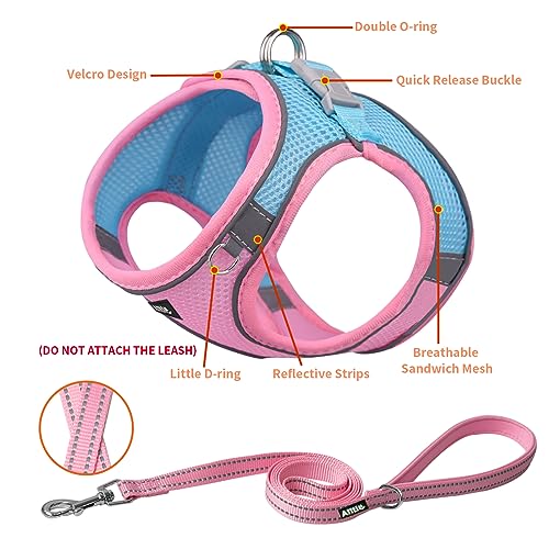 AIITLE Adjustable No Pull Dog Harness & Leash