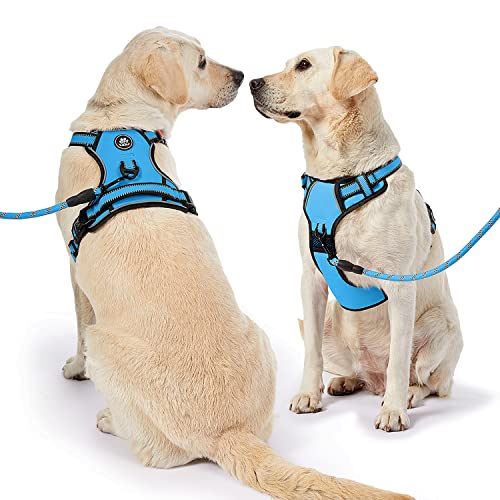Adjustable Oxford Dog Harness with Reflective Leash - Blue
