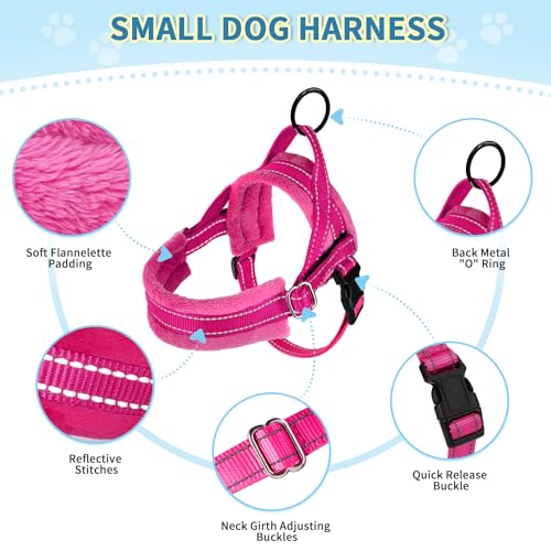 Reflective Small Dog Harness & Leash Set, Adjustable