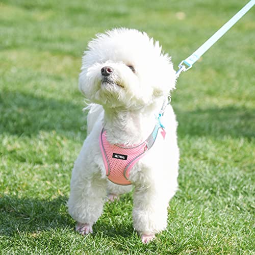 AIITLE Adjustable No Pull Dog Harness & Leash
