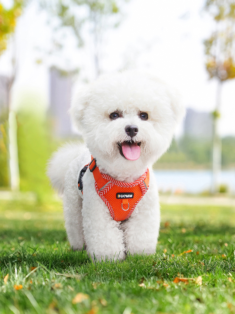 Adjustable Reflective Mesh Dog Harness and Leash Set