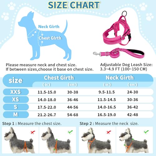 Reflective Small Dog Harness & Leash Set, Adjustable